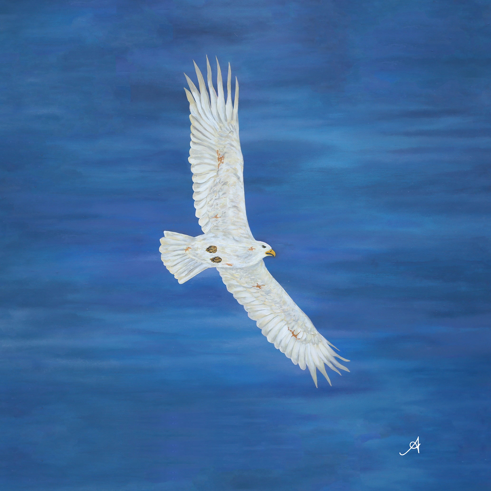 ON WINGS OF EAGLES Amanya Design